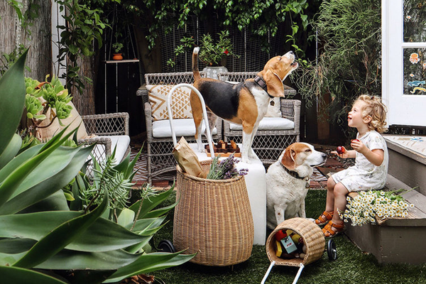 Small Space Styling | Whitney Leigh Morris