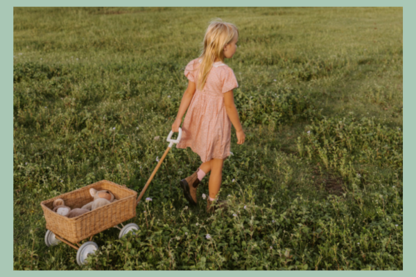 B Corp & Beyond: Balancing People, Planet, And Progress