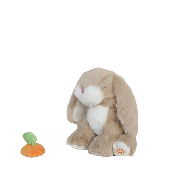 Plush rabbit toy with a small carrot on a white background