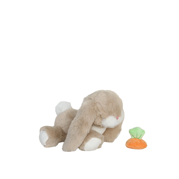 Plush toy rabbit with a carrot on a white background