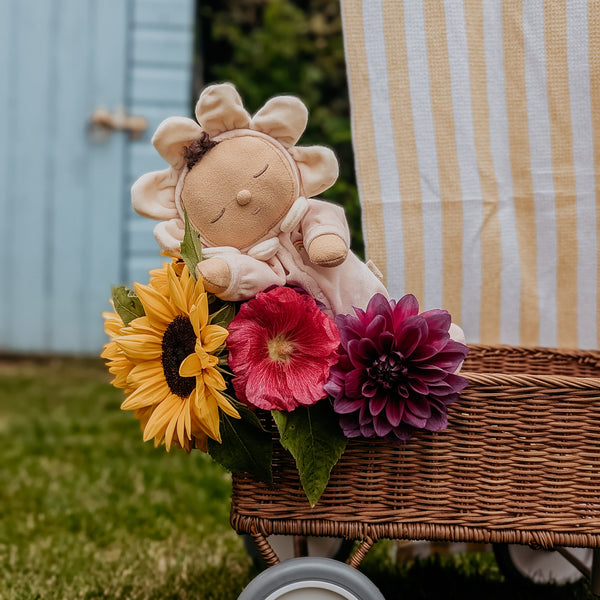 Dozy Dinkums Limited-Edition - Tootsie Gardenia