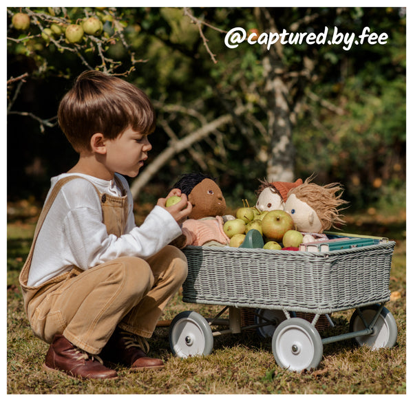 Wonder Wagon user generated content