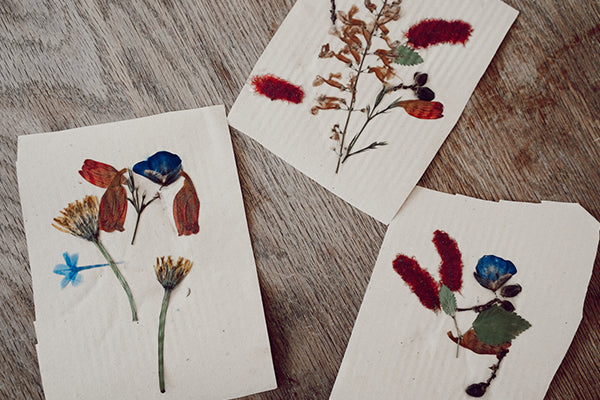DIY | Homemade Pressed Flower Greeting Cards