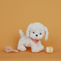 Olli Ella Dinkum Dog Starter Set - kit balle, bandana et brosse sur Cookie