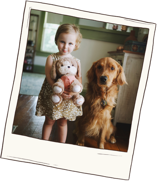 Dinkum Dogs Accessoires photos clients
