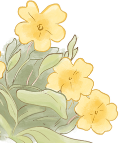 illustration de fleur